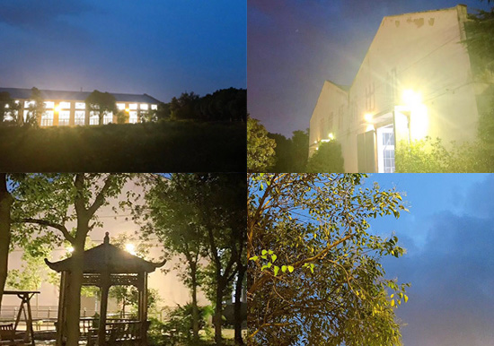 花園式廠區(qū)、綠樹(shù)成蔭、鳥(niǎo)語(yǔ)花香。原來(lái)的廠區(qū)的夜景是如此的美麗!